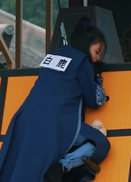 100万个约定之宁安如梦