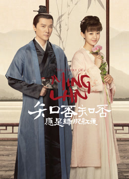 知否知否应是绿肥红瘦TV版