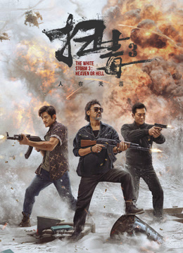 扫毒3：人在天涯