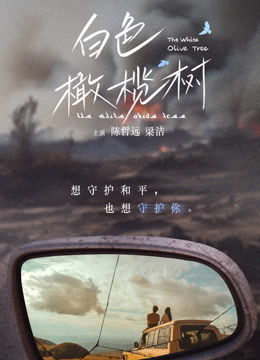 白色橄榄树