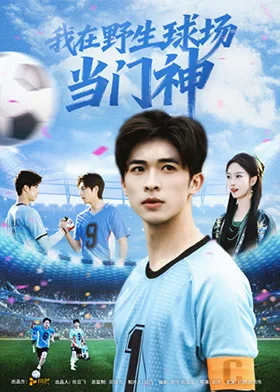 我在野生球场当门神